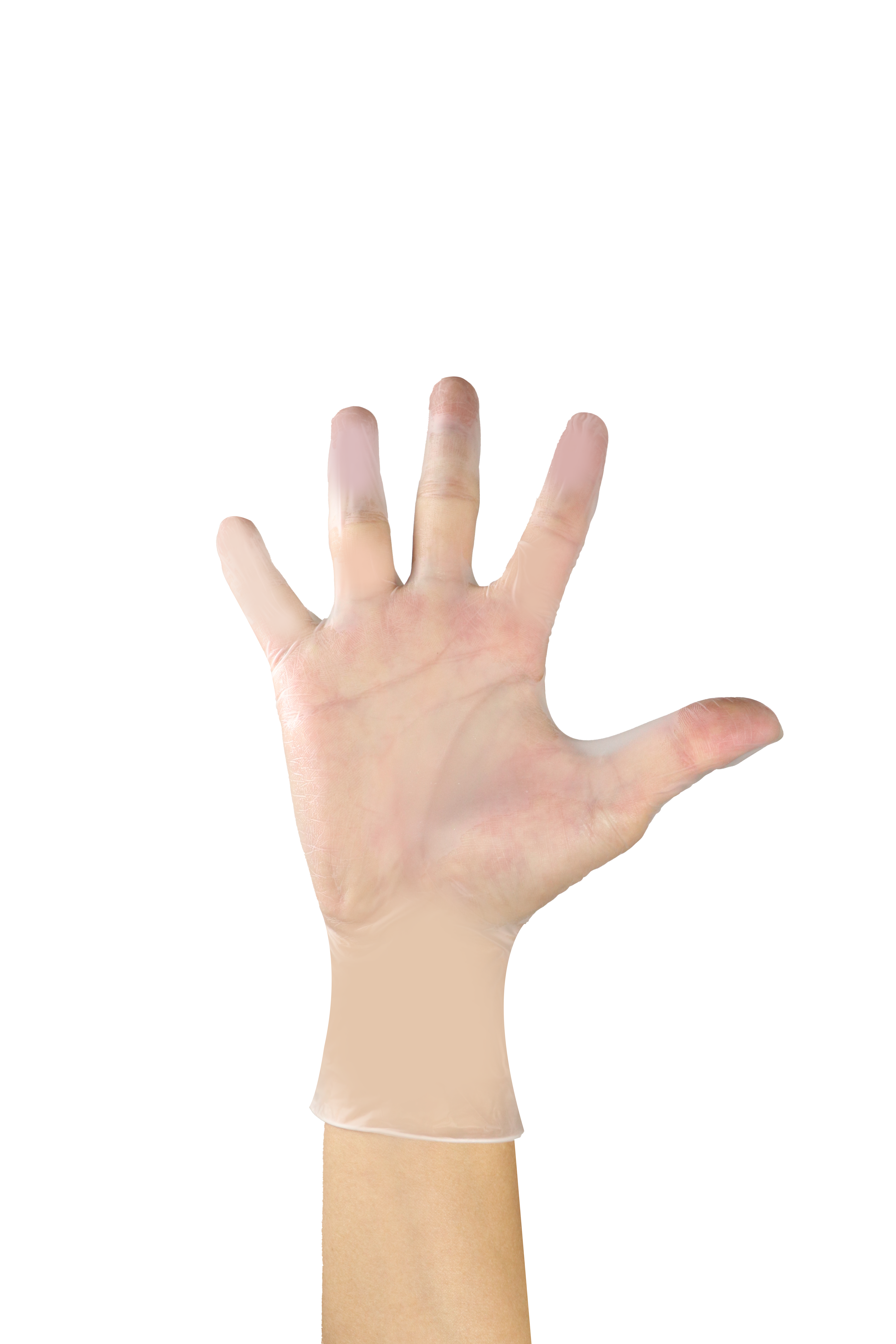 Clear Vinyl gloves