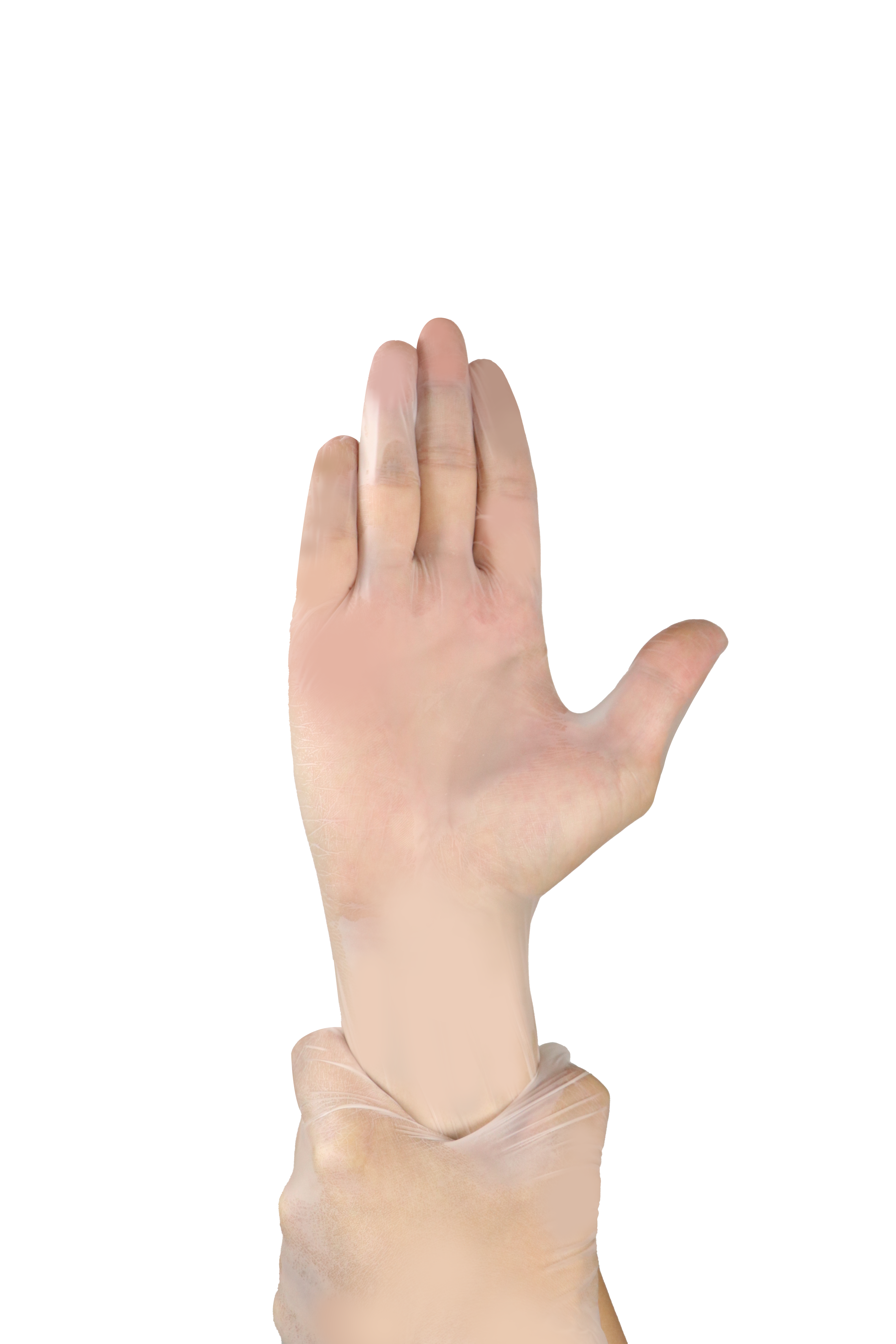 Clear Vinyl gloves