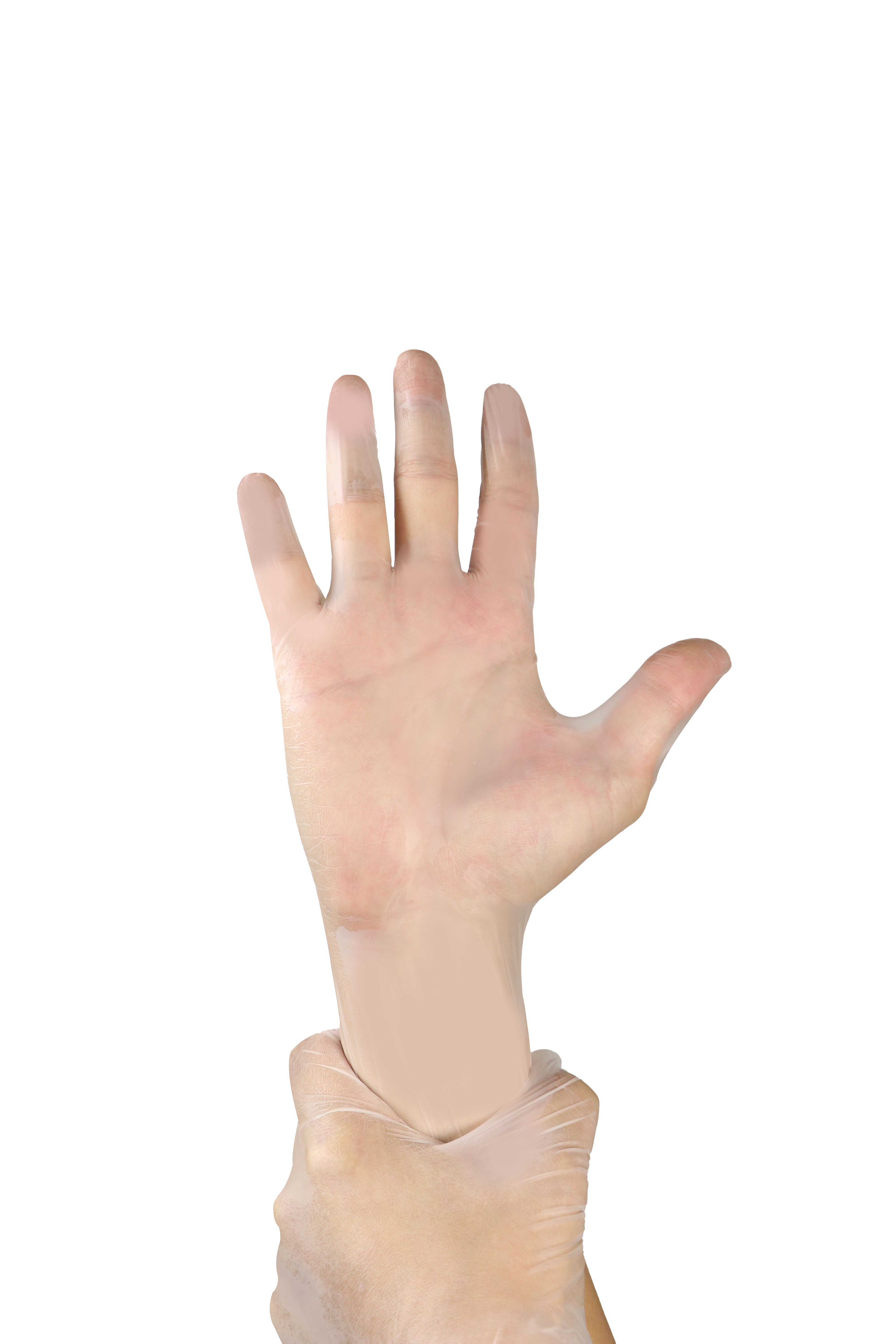 Clear Vinyl gloves
