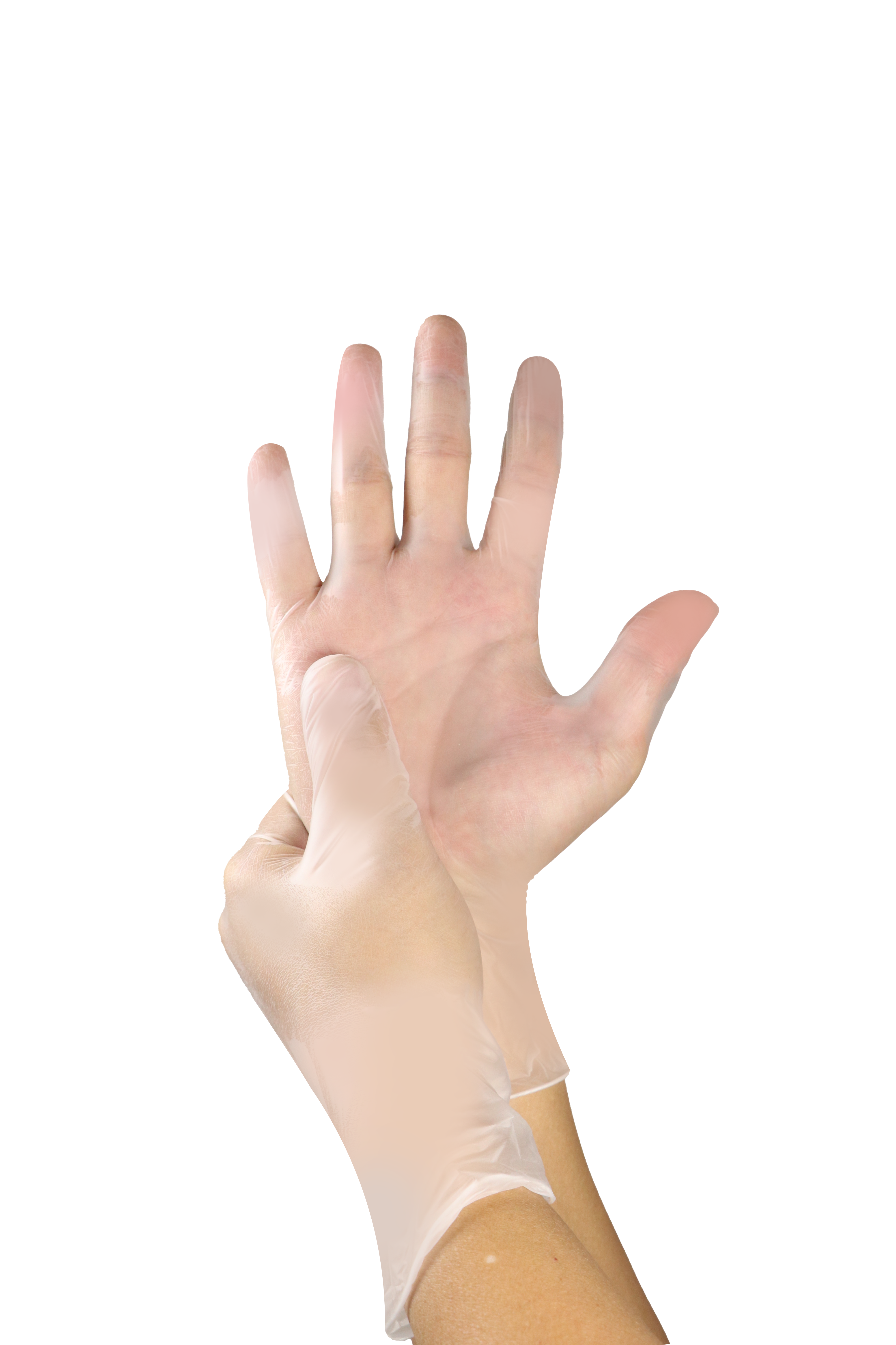 Clear Vinyl gloves